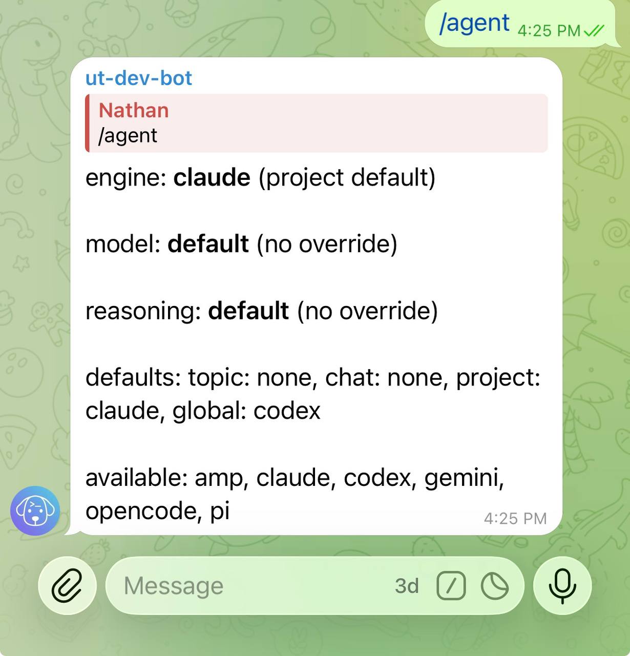 /agent command output showing engine resolution layers