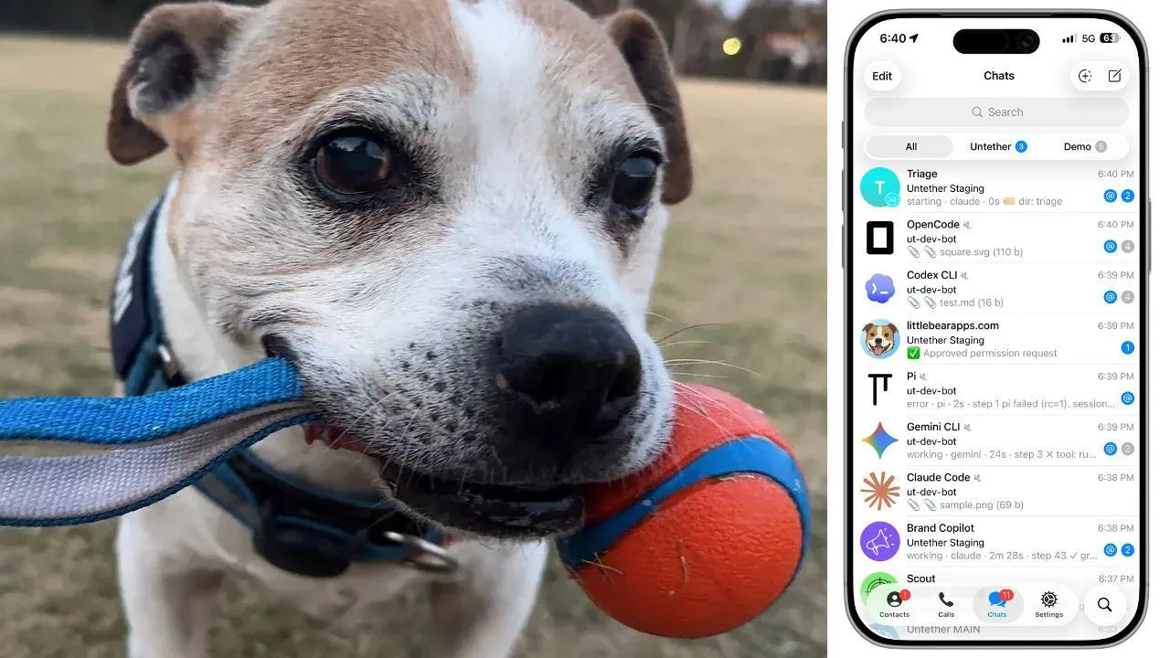 Normi the dog holding a ball in his mouth at the park, alongside a phone screen showing Telegram chats with multiple AI coding agents running simultaneously