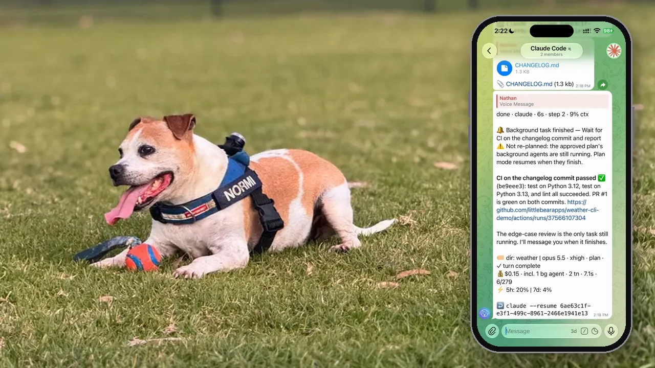 Normi the dog lying on the grass at the oval in his blue walking gear with NORMI printed on it, next to his ball, beside an iPhone showing an Untether message in Telegram headed Background task finished, which reports that CI passed on the changelog commit
