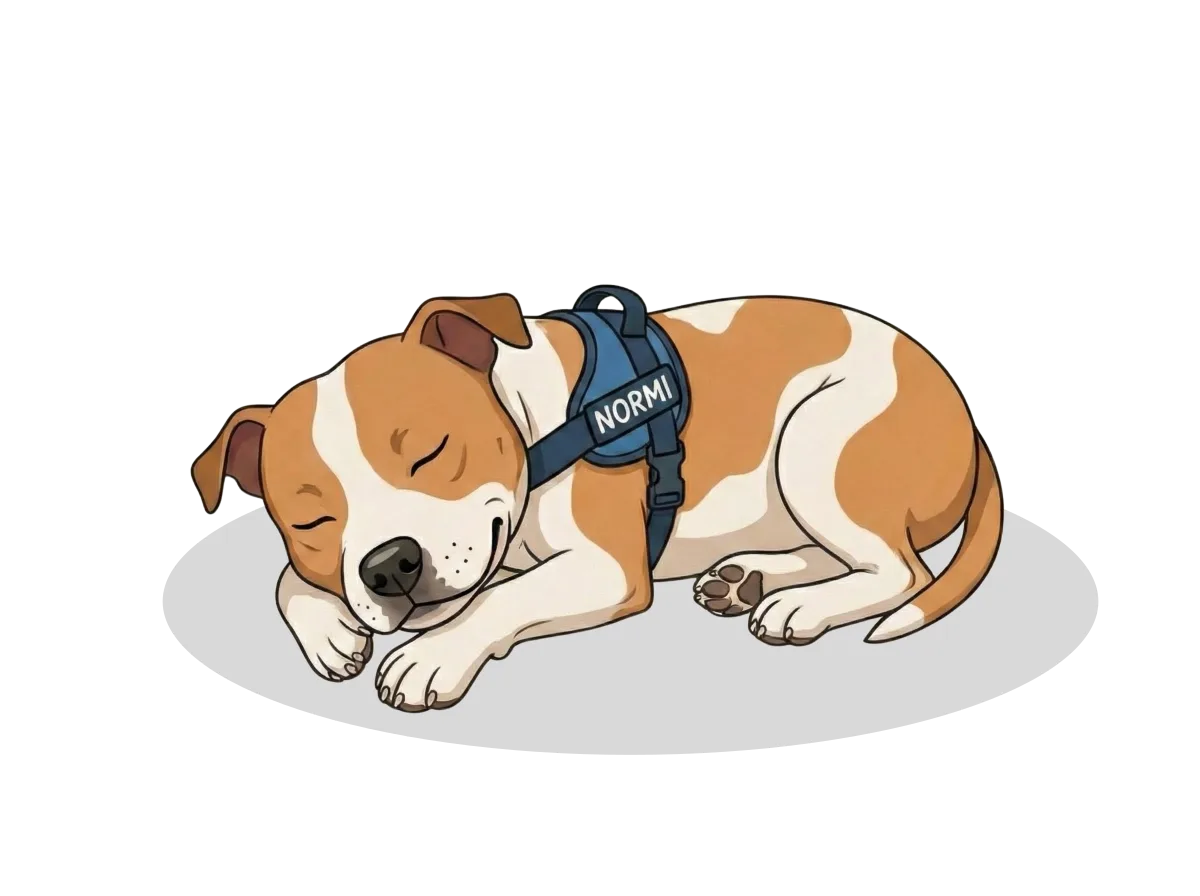 Normi, the Little Bear Apps mascot