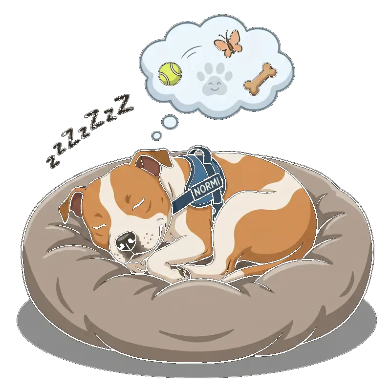 Normi, the Little Bear Apps mascot, sleeping