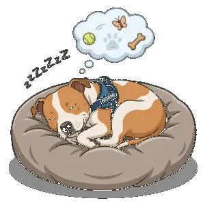 Normi, the Little Bear Apps mascot, sleeping