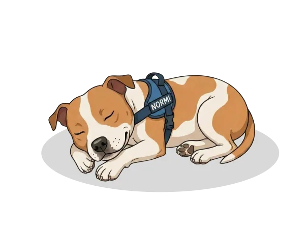 Normi, the Little Bear Apps mascot